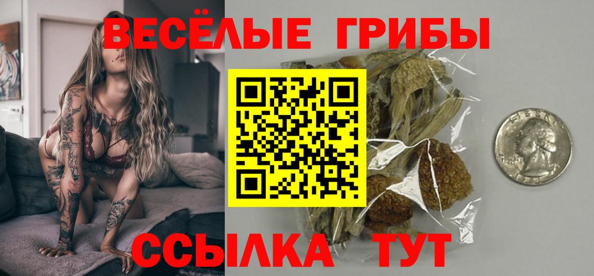 Галлюциногенные грибы Magic Shrooms Таганрог