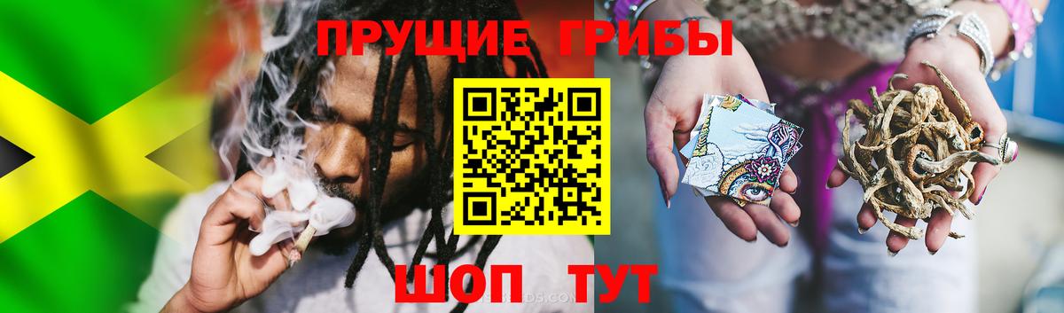Псилоцибиновые грибы прущие грибы  где можно купить наркотик  Псилоцибиновые грибы Psilocybine cubensis  Таганрог  Вход с VPN 